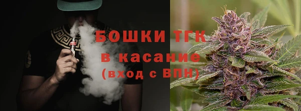 стаф Балахна