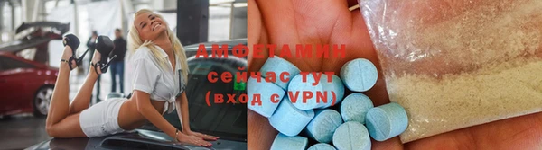индика Весьегонск