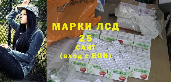 прущие грибы Баксан