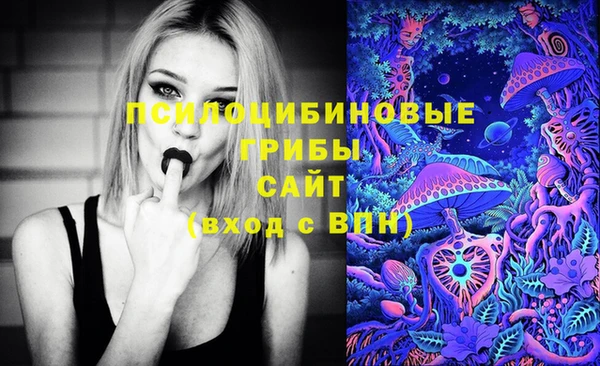 стаф Балахна