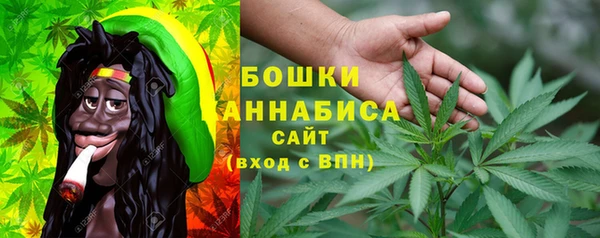прущие грибы Баксан