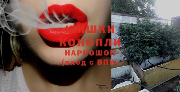 стаф Балахна