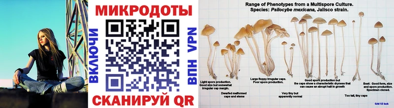 Псилоцибиновые грибы мухоморы  darknet формула  Чусовой 